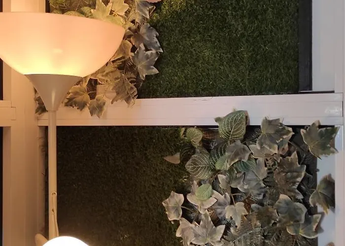 Appartamento Saltillo Alto White *