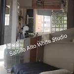 Saltillo Alto White *