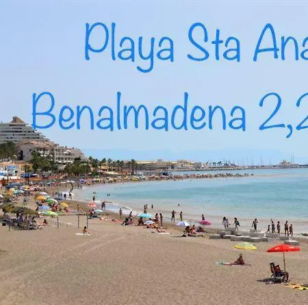 Saltillo Alto White *