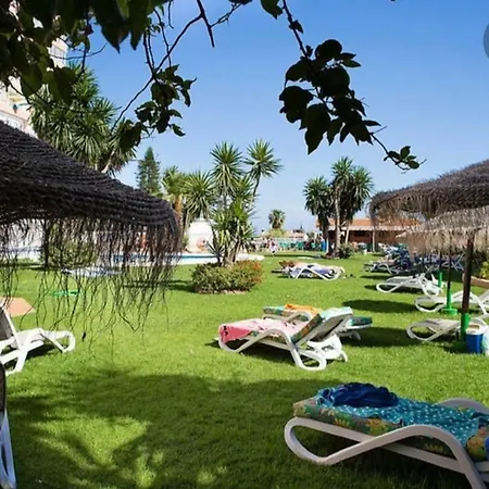 Saltillo Alto White *