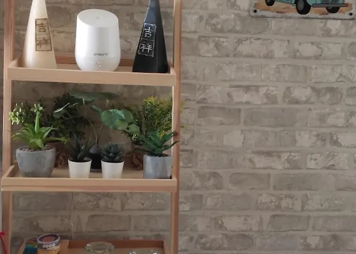 Saltillo Alto White Apartment *