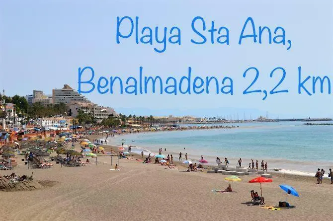 Saltillo Alto White *