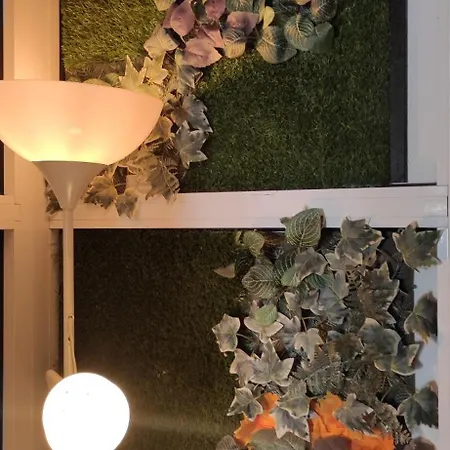 Lejlighed Saltillo Alto White *