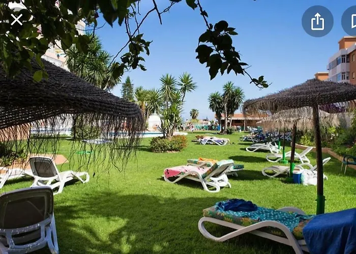 Saltillo Alto White *